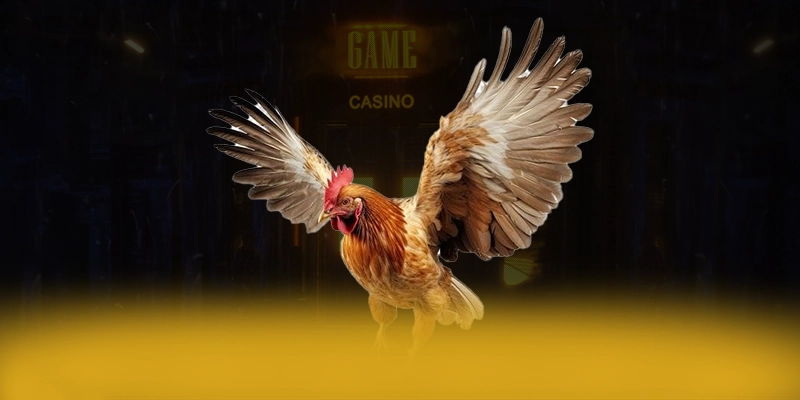 
Cùng trải nghiệm DAGA88 - Trang game đáng chơi nhất tại Việt Nam
