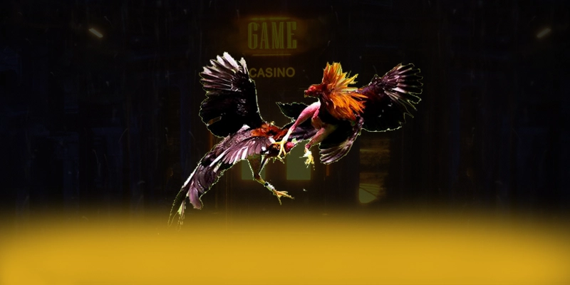 789WIN - Nhận định cuối cùng dành cho người chơi.