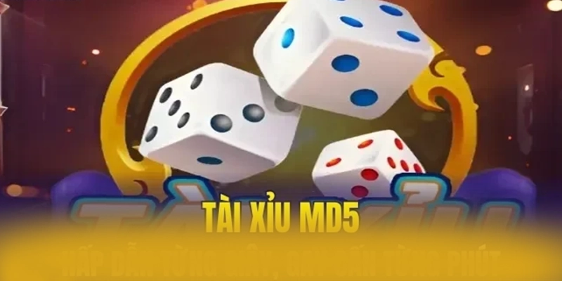 tài xỉu online - Nhà cái được game thủ yêu thích được đánh giá cao – Khám phá tài xỉu online