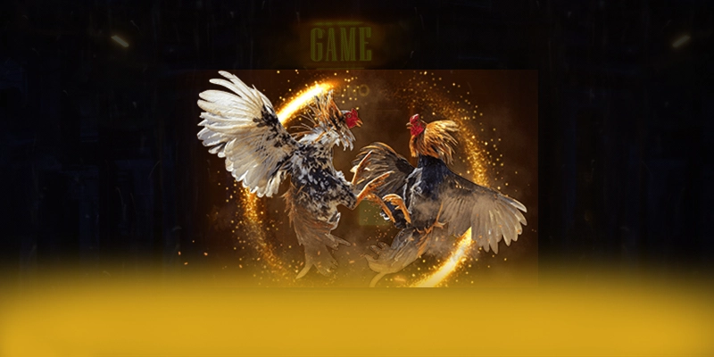 789WIN - Thương hiệu chất lượng số 1 Việt Nam