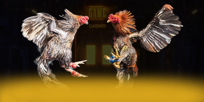 tài xỉu online – Thương hiệu đẳng cấp, được cộng đồng game thủ tin tưởng.