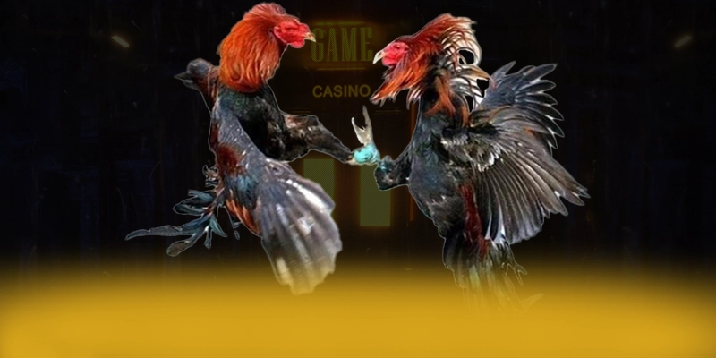 Cùng trải nghiệm KUWIN - Cổng game bài hàng đầu Việt Nam số 1 Việt Nam
Cùng trải nghiệm KUWIN - Cổng game bài hàng đầu Việt Nam số 1 Việt Nam