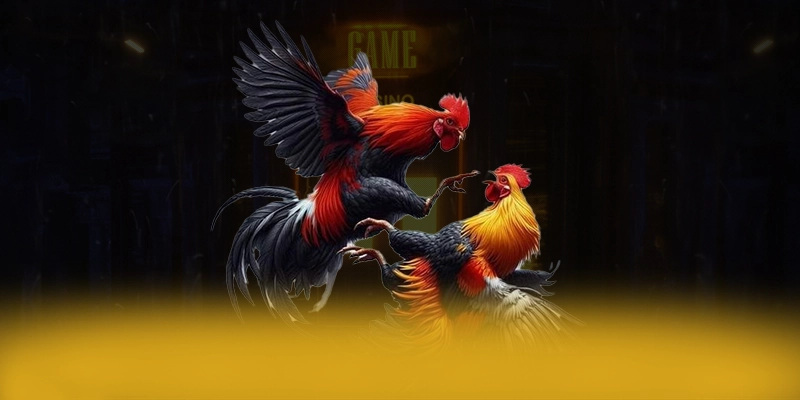 Trải nghiệm W88 - Nhà cái chất lượng được quan tâm
Trải nghiệm W88 - Nhà cái chất lượng được quan tâm