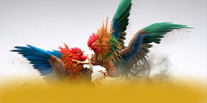 SUNWIN - Trang game chất lượng 2025