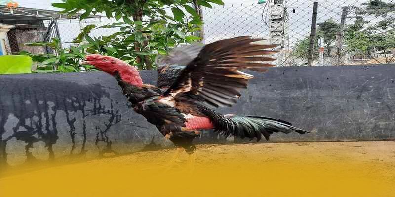 FAFA191 - Cổng game sở hữu kho game phong phú hiện nay – Tìm hiểu FAFA191