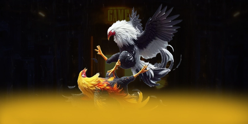 SUNWIN - Trang game đạt chuẩn quốc tế được người chơi tin dùng – Khám phá sự an toàn và minh bạch tại SUNWIN