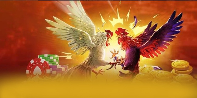 DAGA88 – Cổng game bài đẳng cấp, được giới cược thủ đánh giá cao.