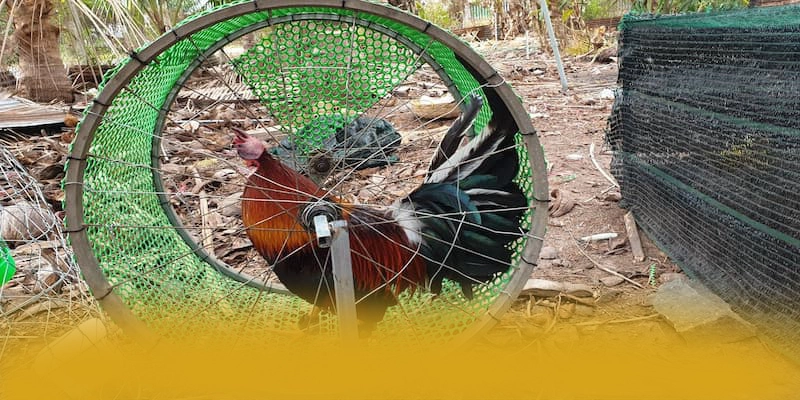 WIN79 - Cổng game bài được yêu thích đang làm mưa làm gió