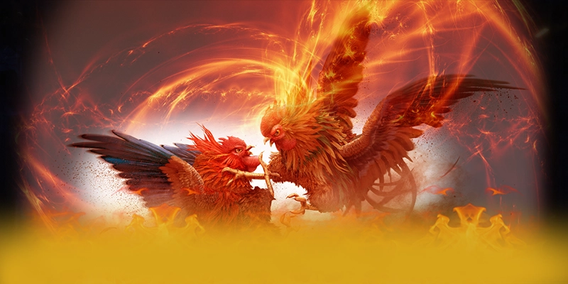 Đánh giá toàn diện 8XBET - Nhà cái cá cược hàng đầu 2025 Đánh giá toàn diện 8XBET - Nhà cái cá cược hàng đầu 2025