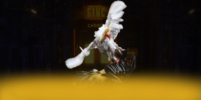 Giới thiệu toàn diện BU88 - Sảnh game phổ biến nhất tại Việt Nam Giới thiệu toàn diện BU88 - Sảnh game phổ biến nhất tại Việt Nam